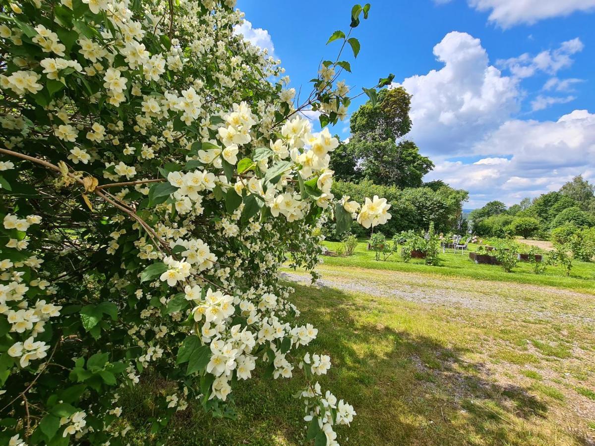 Risberg Herrgard Hagfors Exterior photo
